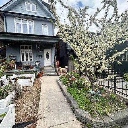 Garden Oasis Villa Toronto Eksteriør billede