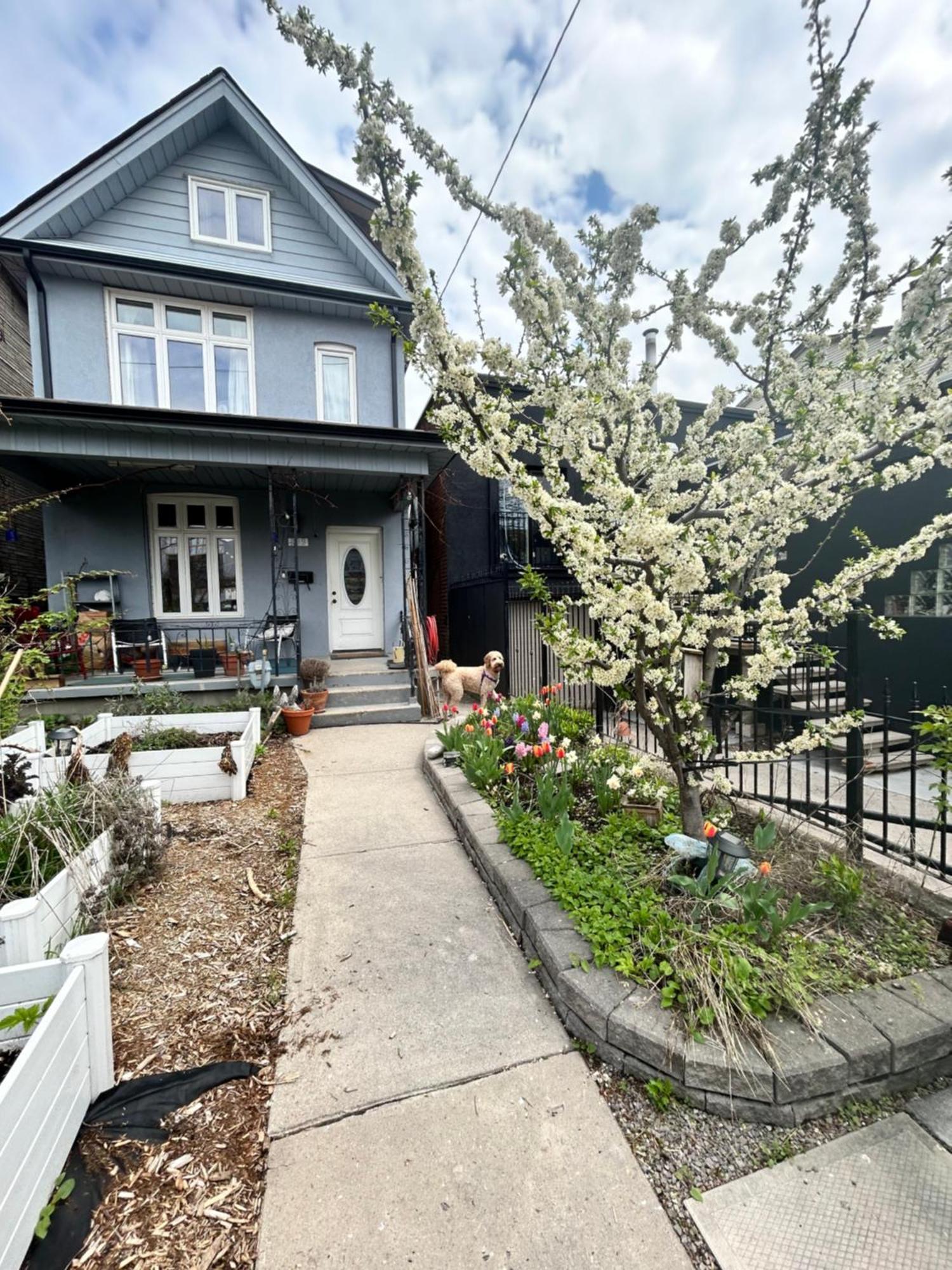 Garden Oasis Villa Toronto Eksteriør billede